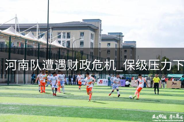 河南队遭遇财政危机 保级压力下主帅去留成悬念