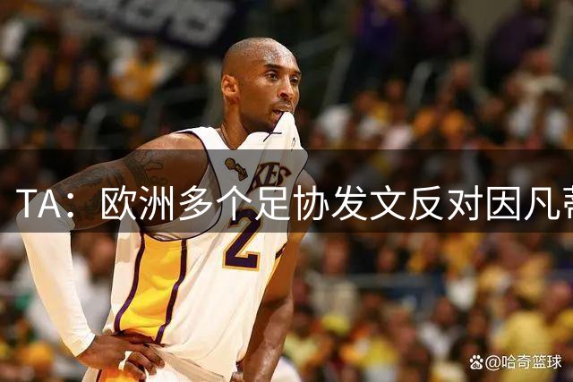 TA：欧洲多个足协发文反对因凡蒂诺，后者的压力与日俱增